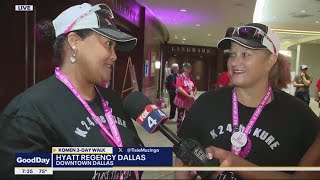 Susan G Komen 3Day 150th Walk Reunion Slideshow [upl. by Marmaduke795]