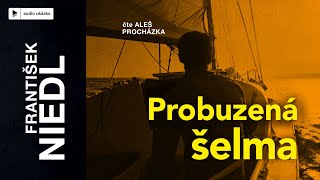 František Niedl  Probuzená šelma  Audiokniha [upl. by Lleral]