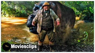 Hippo Eats Bethany Jack Black Scene  Jumanji Welcome to the Jungle 2017 4K Moviesclips Video [upl. by Aihsyt]