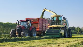 Loonbedrijf de Wit Beemster  Eerste snede 2023  Krone Big X 700  CaseIH [upl. by Eusassilem]