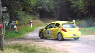 Rallye dAutun 2013 Crash amp Show HD [upl. by Sessilu346]