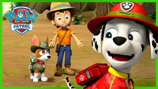 Jungle Pups Rescues with Tracker and MORE  PAW Patrol  Cartoons for Kids [upl. by Naomi]