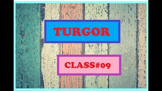 TURGOR  Class9  Chap4 [upl. by Maltzman]