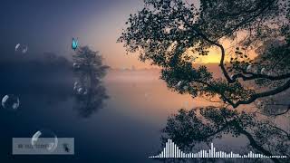 Tagalog Relaxing Music Study Music Sleep Music Meditation Music Sleeping Music [upl. by Frederik]