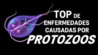 TOP enfermedades causadas por PROTOZOOS [upl. by Frants]