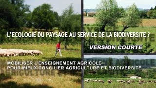 Lécologie du paysage au service de la biodiversité   VERSION COURTE [upl. by Chrysa]