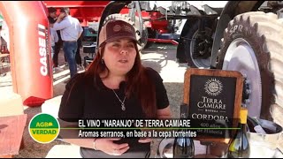 “Naranjo” el nuevo torrontés que “florecerá” este 21 de septiembre en Bodega Terra Camiare [upl. by Lindsey]