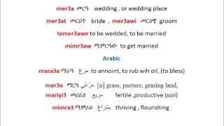 Tigrigna Arabic cognates  trilateral root m r 3 [upl. by Pattani]