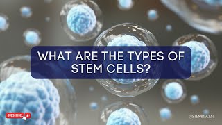 What are the Different Types of Stem Cells [upl. by Radborne]