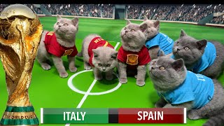 LETS UNLEASH CATS KITTENS WORLD CUP [upl. by Eniluap]