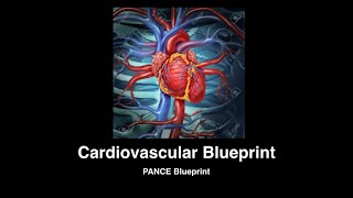 Cardiovascular Blueprint Free Lecture PANCEPANRE Review [upl. by Candy]