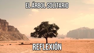 REFLEXIÓN EL ÁRBOL SOLITARIO Reflexiones Diarias Cortas de Vida del Alma Mejor Persona De Dios [upl. by Veats745]