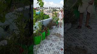 Rooftop Garden Cleaning Routine oliviashomediary oliviagarden viralvideo garden [upl. by Aydidey]