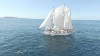 Windborne Sailing Charters New Zealand [upl. by Eiramik]