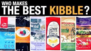 The Pet Food Kibble Review [upl. by Illyes]