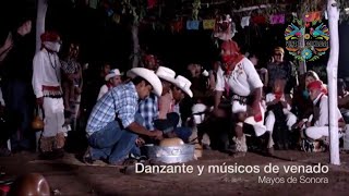 Documental de las Danzas de Pascola y Venado  Sonora [upl. by Tsuda]