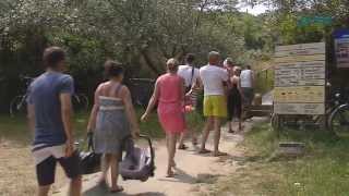 Camping Janse Zoutelande in 3 minuten [upl. by Maressa]