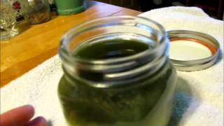 Chickweed Plantain and Comfrey Salve pt 2 [upl. by Sadler71]