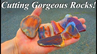 SLABBING and Cutting Gorgeous Agates Jaspers Fossils amp More Rocks Coming out of The Tumbler Too [upl. by Morganstein922]