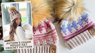 Autumns Charm Mosaic Hat Crochet Pattern  Pattern includes newborn to large adult sizes [upl. by Rus]