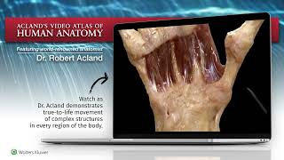 Aclands Atlas of Human Anatomy 2023 [upl. by Aidnama]