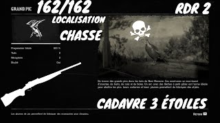 Tout Les Animaux 162162 Le Grand Pic Localisation Red Dead Redemption 2 [upl. by Binette306]