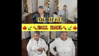 HUGE FALL HAUL 2023  WHAT ELSE DID I BUY PLUS SIZE HAUL FASHION OVER 60 [upl. by Ahsael]