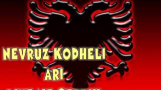 NEVRUZ KODHELI ARI LIVE NE CERRIK [upl. by Hsekar]