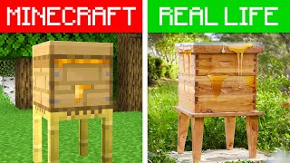 Minecraft VS Real Life [upl. by Fachan]