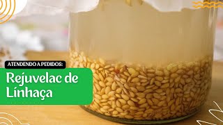 Aprenda a fazer Rejuvelac de Linhaça  Receita saudável [upl. by Ahsienaj701]