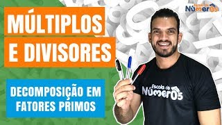 DECOMPOSIÇÃO EM FATORES PRIMOS  EP 06  Tudo sobre MÚLTIPLOS E DIVISORES [upl. by Onaireves]