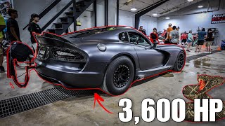 Legendary 3000 HP CALVO VIPERS Gather Under 1 Roof [upl. by Trilley783]