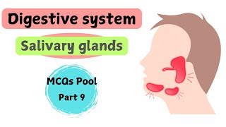 Salivary glands  Digestive System  gross anatomy  MCQs pool  part 9 [upl. by Tenom]