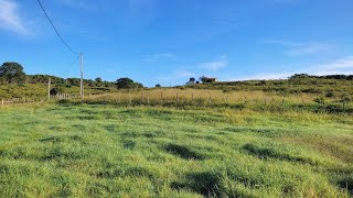 SÍTIO À VENDA COM 30 HECTARES EM TAMANDUÁ PASSIRA PERNAMBUCO [upl. by Eetsud]