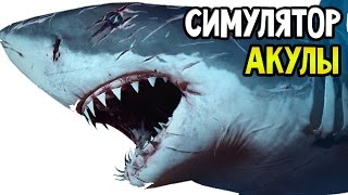 Sydney Shark Прохождение На Русском — СИМУЛЯТОР АКУЛЫ ОНА ЖРЕТ САМОЛЕТЫ [upl. by Ettelimay]