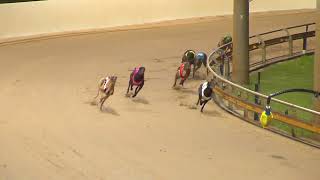 Rockhampton06112024Race5 [upl. by Enimajneb]