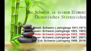 Chinesisches Sternzeichen das Schwein und seine Elemente Chinesisches Horoskop [upl. by Ia]