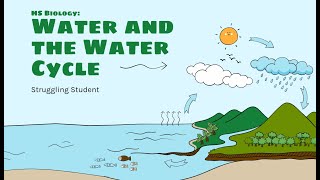 Water and the Water Cycle [upl. by Duggan]