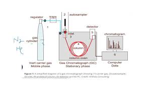 Gas ChromatographyGas LiquidGas SolidChromatogramGC MSLC MSMass SpectrometryUrduHindisaad [upl. by Daffodil]