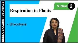 Respiration in Plants  NEET  Glycolysis  Neela Bakore Tutorials [upl. by Peery6]