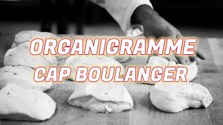 Organigramme CAP boulanger [upl. by Shoemaker]