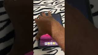 Xiaomi mi pad 5  Como conectar a caneta dele [upl. by Monie]