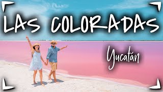 Las Coloradas YUCATAN y Rio Lagartos 🔴 GUIA COMPLETA ► Que hacer precios hospedaje 🟡 Vale la PENA [upl. by Ima]