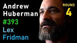 Andrew Huberman Relationships Drama Betrayal Sex and Love  Lex Fridman Podcast 393 [upl. by Phyllys515]