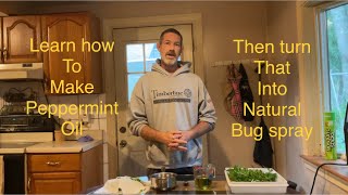 How to make peppermint oil and turn that into a natural bug spray [upl. by Ahearn]