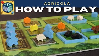 How to Play Agricola in under 10 minutes [upl. by Baoj574]