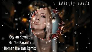 Ceylan Koynat  Her Yer Karanlık  Roman Havası Remix  2021 [upl. by Leis]