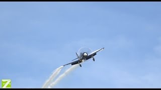 HAWKER SEA FURY FLYBYampLANDING [upl. by Hannahoj]