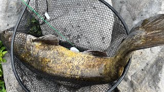 Another fishing day at Guntersville dam [upl. by Woodhead57]