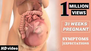 31 Weeks Pregnant Baby Position  Health Care Tips For Pregnant Women [upl. by Kapeed560]